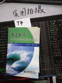 大江大河水灾防治对策的研究