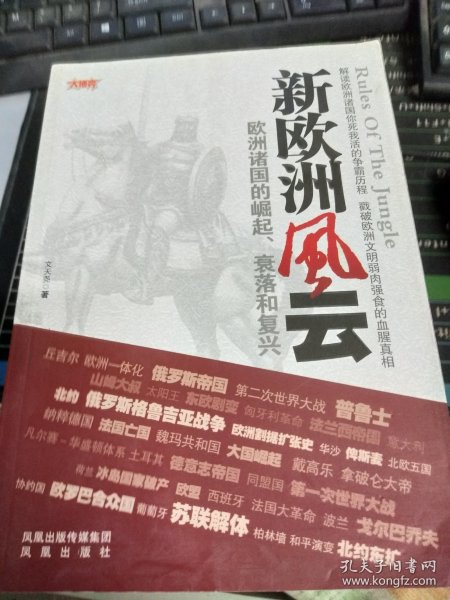 欧洲新战场全传：新欧洲风云（欧洲诸国的崛起、衰落和复兴）