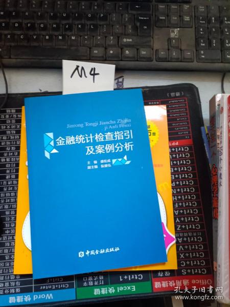 金融统计检查指引及案例分析