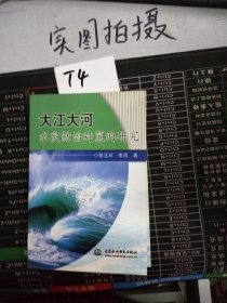 大江大河水灾防治对策的研究