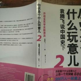 历史是个什么玩意儿2：袁腾飞说中国史下