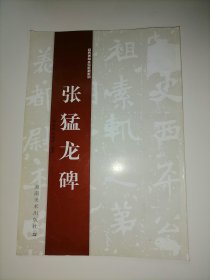 经典碑帖水写教程系列：张猛龙碑 （库存图书 内页全新）