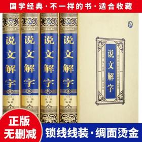 说文解字许慎一部详细介绍汉字知识的工具书说文解字注今释精装版