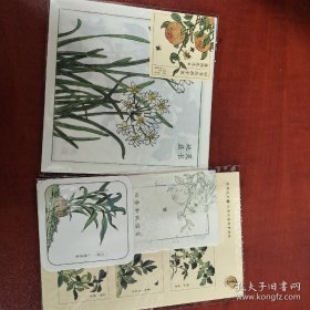 植物先生Ⅱ：二十四节气时食植物研学课(签名版，赠送盖章，图形随机发)