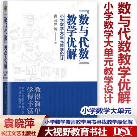 2024正版新书 数与代数教学优解 小学数学大单元教学设计 袁晓萍等 小学数学教师教学用书 长江文艺出版社