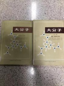 大分子 （上 结构和性能， 下 合成、材料和工艺学）