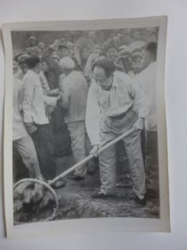 1958年,毛泽东在十三陵水库工地上劳动