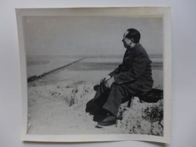1952年毛泽东视察黄河