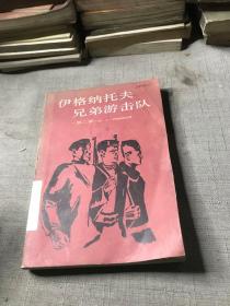 伊格纳托夫兄弟游击队