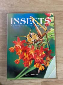 INSECTS