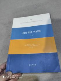 国际刑法学原理 上册