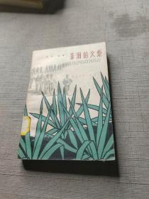 非洲的火炬