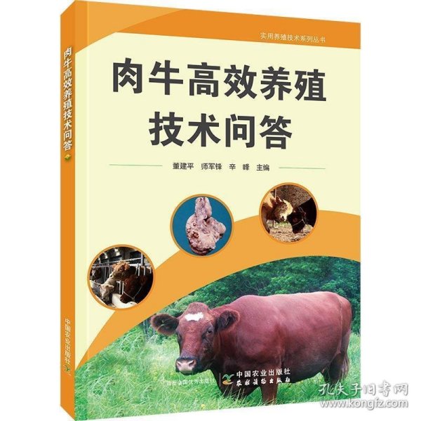 肉牛高效养殖技术问答