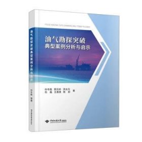 油气勘探突破典型案例分析与启示