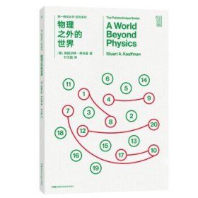 第一推动丛书综合系列:物理之外的世界