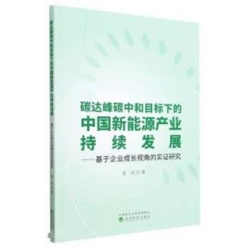 碳达峰碳中和目标下的中国新能源产业持续发展--基于企业成长视角的实证研究