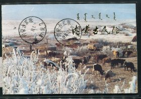 史如源画兰石图小品赠友王建军明信片1張