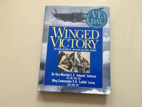 winged victory the recollections of two royal air force leaders两位皇家空军领导人的回忆