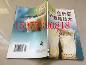 金针菇高产栽培技术