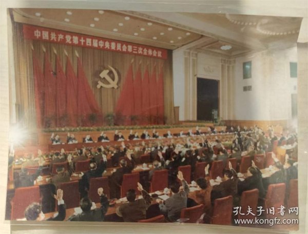 <中国共产党第十四届中央委员会第三次全体会议>画片