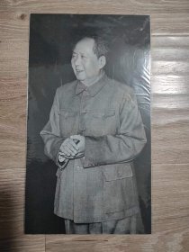 毛主席中山装画片