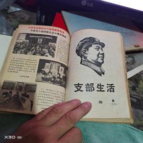 上海支部生活 1968年   1至24期 、有 毛林像增页、增刊1期【 **原件实物文献※ 沂蒙***文献个人收藏展品】