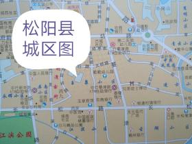 松阳县城区图58乘88CM丽水市松阳县地图松阳地图