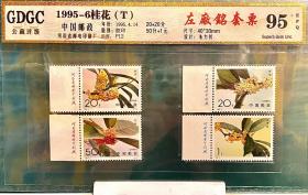 1995-6桂花