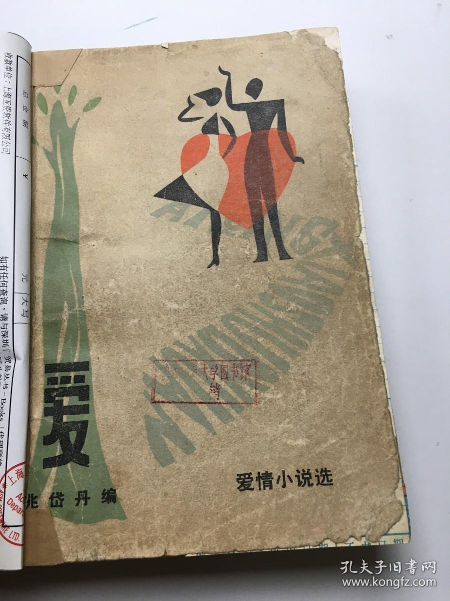 爱情小说选：爱