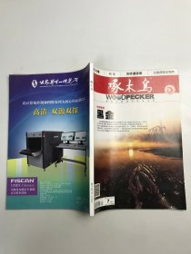 啄木鸟   2017年7月