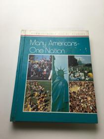 Mony Americons-One Nationg 美国--一个国家