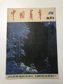 中国青年  1981  14