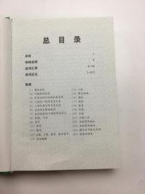 小学生全真图解：英汉词典编