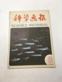 科学画报1984年8期