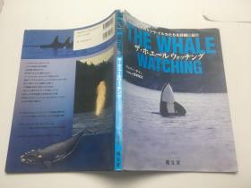 the whale watching