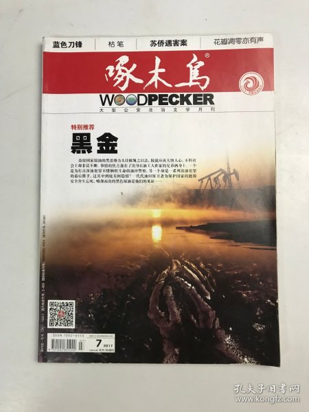 啄木鸟   2017年7月