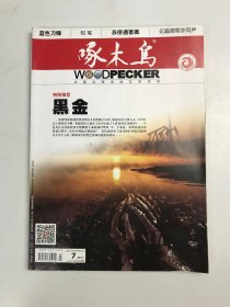 啄木鸟   2017年7月