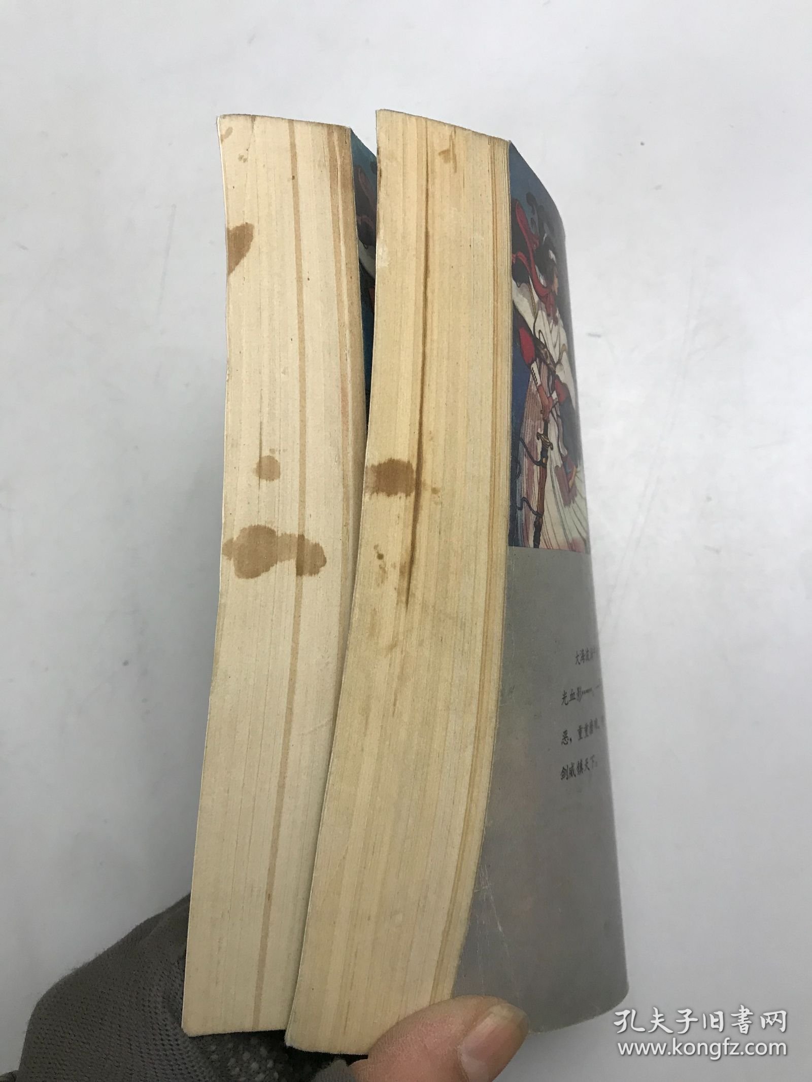 一剑镇神州 中下 合售