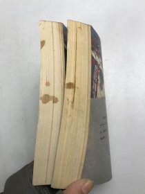 一剑镇神州 中下 合售