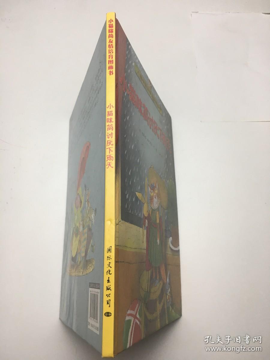 小猫咪简讨厌下雨天