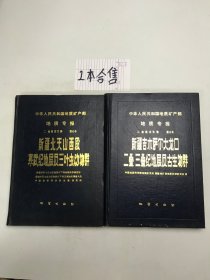 新疆北天山西段寒武纪地层及三叶虫动物群 .新疆吉木萨尔大龙口二叠三叠纪地层及古生物群 合售