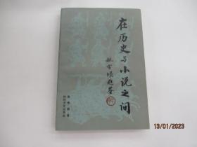 在歷史與小說(shuō)之間