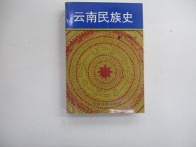 云南民族史