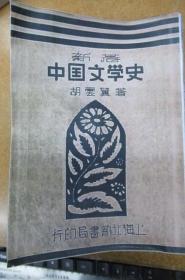 新著中国文学史