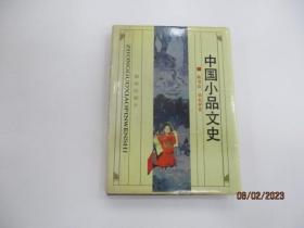 中国小品文史