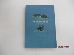 翠绿的晨星