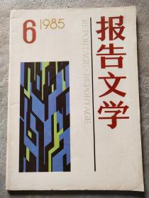 报告文学1985年6期