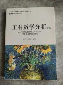 工科数学分析（下册）/名校名家基础学科系列