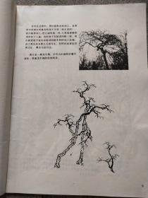 中国画技法 第二册 山水