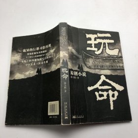 玩命:刀尖马背上行走的生命传奇